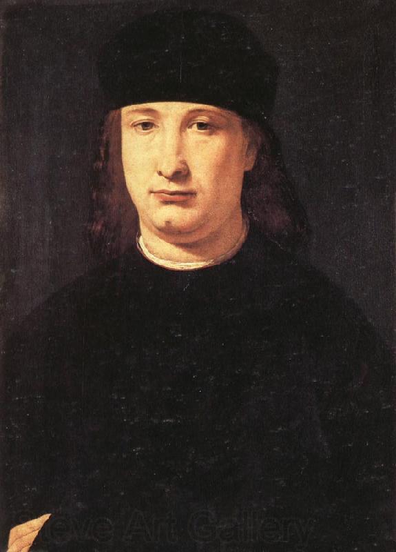 BOLTRAFFIO, Giovanni Antonio Portrait of a Magistrate Spain oil painting art